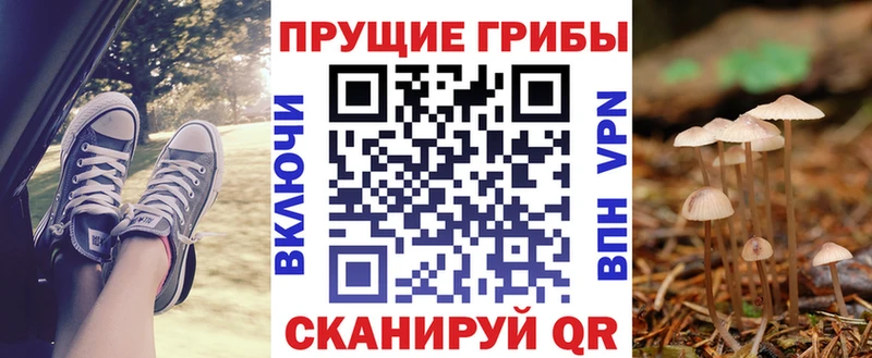 Псилоцибиновые грибы мухоморы  цены наркотик  Ливны 